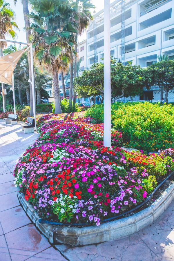 Espectacular Piso En Primera Linea De Playa Estepona Dış mekan fotoğraf